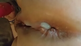 Koleksi Adegan Creampie Anal Dengan Amatur Dan Milf